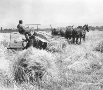 1934 - Mager & Wedemeyer als Vorreiter in der Landwirtschaft